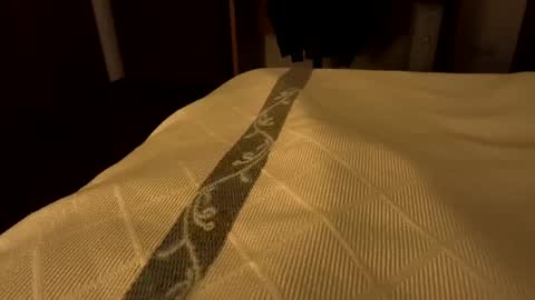 sevenorder online show from 24, 1, 2025