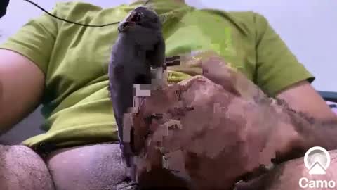 Snapshot of sexmachine4ubabes chatting on 9, 12, 2024 sexmachine4ubabes online show from 9, 12, 2024