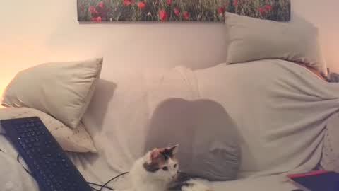 Snapshot of sexurbation chatting on 20, 12, 2025 Sexurbation online show from 20, 12, 2025