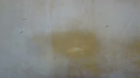 sexy_candy9 online show from 12, 11, 2025