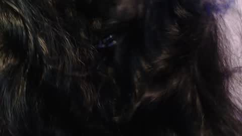 Snapshot of sexy_impact chatting on 15, 1, 2025 online show from 15, 1, 2025