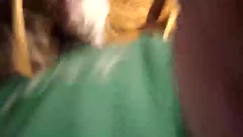    RICHY    online show from 12, 4, 2026