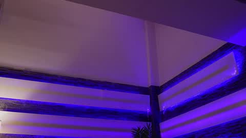 Celline online show from 27, 11, 2025