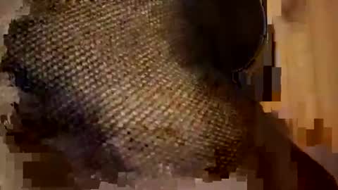 Snapshot of sexycplluv chatting on 9, 11, 2025 Forever Erotica online show from 9, 11, 2025