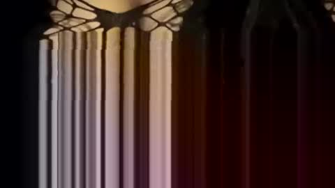 Snapshot of sexycplluv chatting on 12, 1, 2026 Forever Erotica online show from 12, 1, 2026