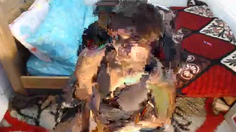 sexyjustin202 online show from 1, 3, 2026