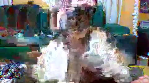 Snapshot of sexylo52 chatting on 13, 5, 2026 sexylo52 online show from 13, 5, 2026