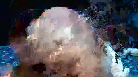 Natalie sweet online show from 25, 4, 2026