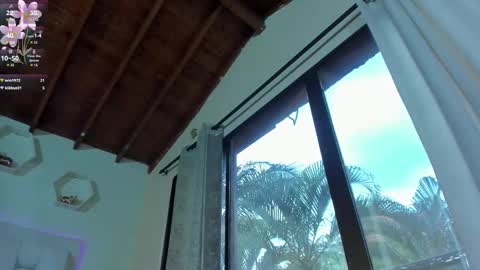 Shana online show from 24, 2, 2026