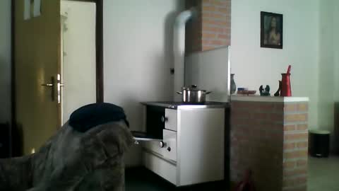 excelo21 online show from 22, 12, 2024