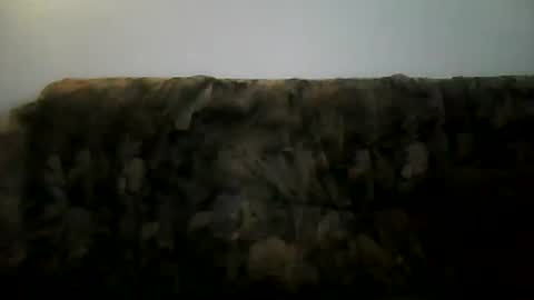 excelo21 online show from 2, 2, 2025