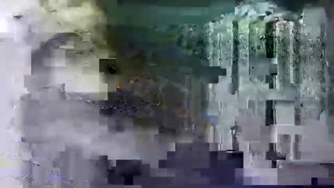 Shashee870242 online show from 14, 2, 2025