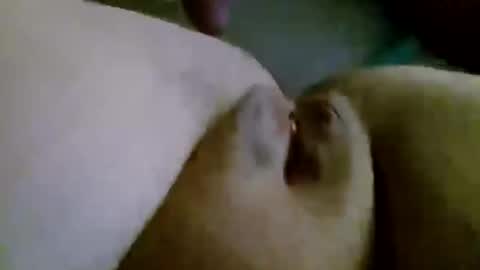 Snapshot of shay6371 chatting on 28, 11, 2025 shay6371 online show from 28, 11, 2025