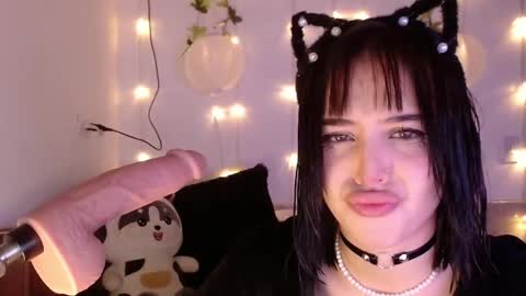 Shayla 3 online show from 3, 12, 2024