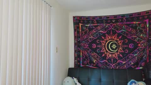 Snapshot of shayminx chatting on 6, 11, 2025 Shayminx online show from 6, 11, 2025