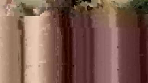 sheablo33 online show from 17, 12, 2025