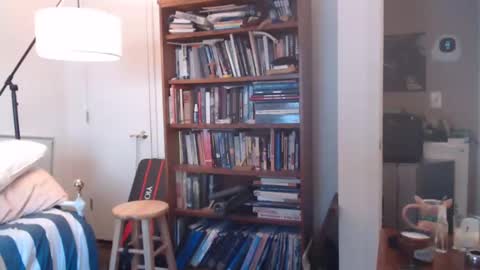 Snapshot of sheepishlion chatting on 7, 12, 2024 sheepishlion online show from 7, 12, 2024