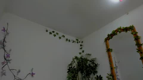 Snapshot of shegoblake chatting on 6, 7, 2026 Shego online show from 6, 7, 2026