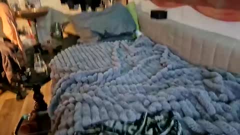 sheilasub online show from 16, 12, 2025