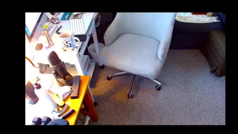 Shelaacd online show from 16, 10, 2025