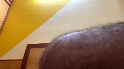 Snapshot of shelby_tommy1 chatting on 7, 12, 2024 bluehorn online show from 7, 12, 2024