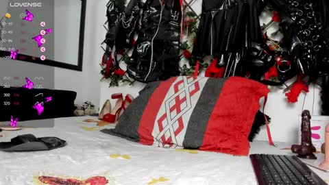 Snapshot of shengyi_blue chatting on 29, 12, 2024 anyela7773 online show from 29, 12, 2024