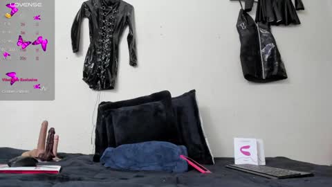 Snapshot of shengyi_blue chatting on 13, 2, 2025 anyela7773 online show from 13, 2, 2025