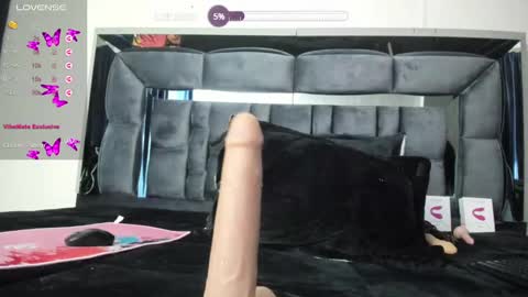 Snapshot of shengyi_blue chatting on 21, 2, 2025 anyela7773 online show from 21, 2, 2025