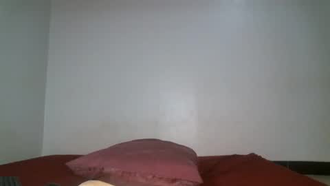Shi-ro online show from 29, 4, 2026