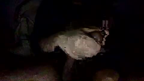 shoot3s__ online show from 14, 12, 2024