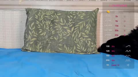 Oleg online show from 1, 3, 2025