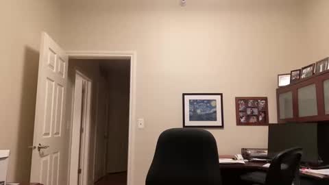 Chicago Guy online show from 16, 2, 2025