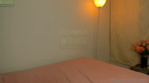 Snapshot of shy_angel_30 chatting on 17, 7, 2026 Angel online show from 17, 7, 2026
