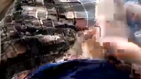 shynessy online show from 19, 1, 2026