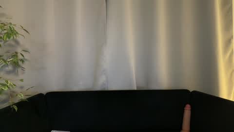 Snapshot of shyprinces chatting on 16, 12, 2024 Amelia online show from 16, 12, 2024