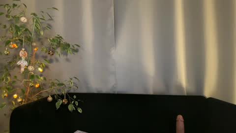 Snapshot of shyprinces chatting on 23, 12, 2024 Amelia online show from 23, 12, 2024