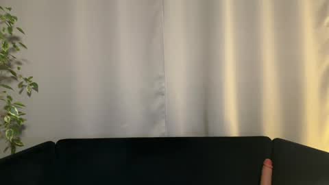 Snapshot of shyprinces chatting on 29, 1, 2025 Amelia online show from 29, 1, 2025