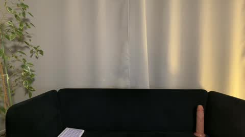 Snapshot of shyprinces chatting on 31, 1, 2025 Amelia online show from 31, 1, 2025