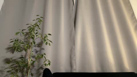 Snapshot of shyprinces chatting on 3, 2, 2025 Amelia online show from 3, 2, 2025