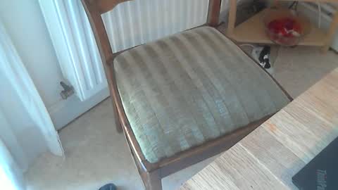 Snapshot of sibblii0 chatting on 4, 3, 2025 Seba online show from 4, 3, 2025