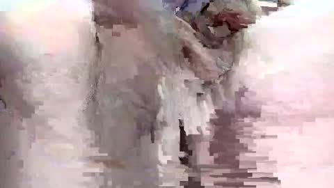 Snapshot of sigmaelixer chatting on 29, 9, 2025 sigmaelixer online show from 29, 9, 2025