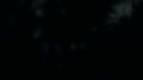 Snapshot of silkeyoz chatting on 10, 12, 2024 Silkey online show from 10, 12, 2024