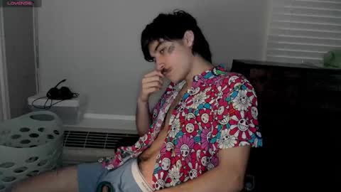 Snapshot of silly_cybin chatting on 12, 1, 2025 cybin online show from 12, 1, 2025