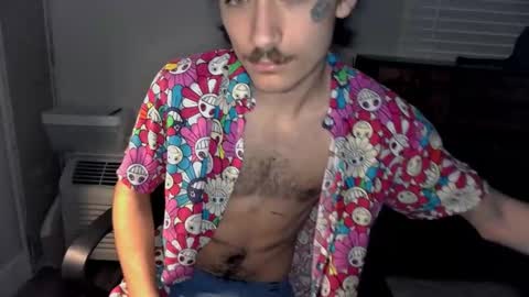 Snapshot of silly_cybin chatting on 20, 1, 2025 cybin online show from 20, 1, 2025