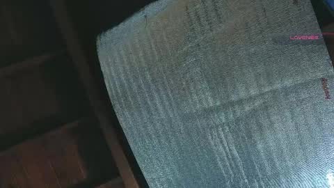 silvabranko online show from 13, 4, 2026