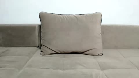 Sir online show from 29, 1, 2025