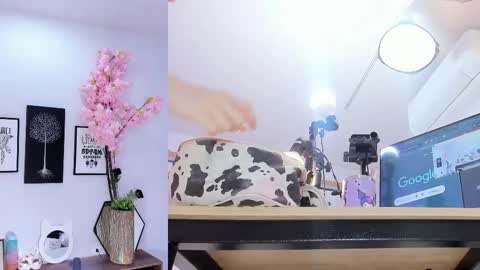 Siouxsie online show from 15, 2, 2026