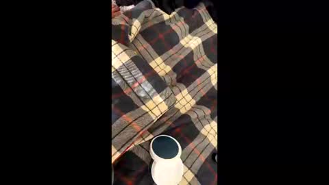 sirgalaxy online show from 2, 11, 2025