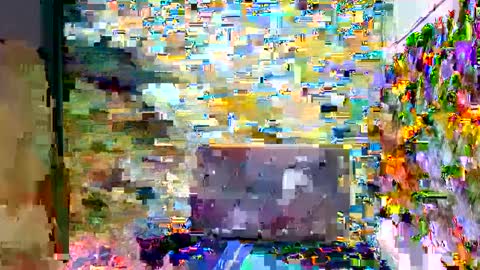 SIR RYANT online show from 8, 2, 2025