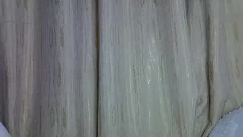 shannie online show from 3, 12, 2025